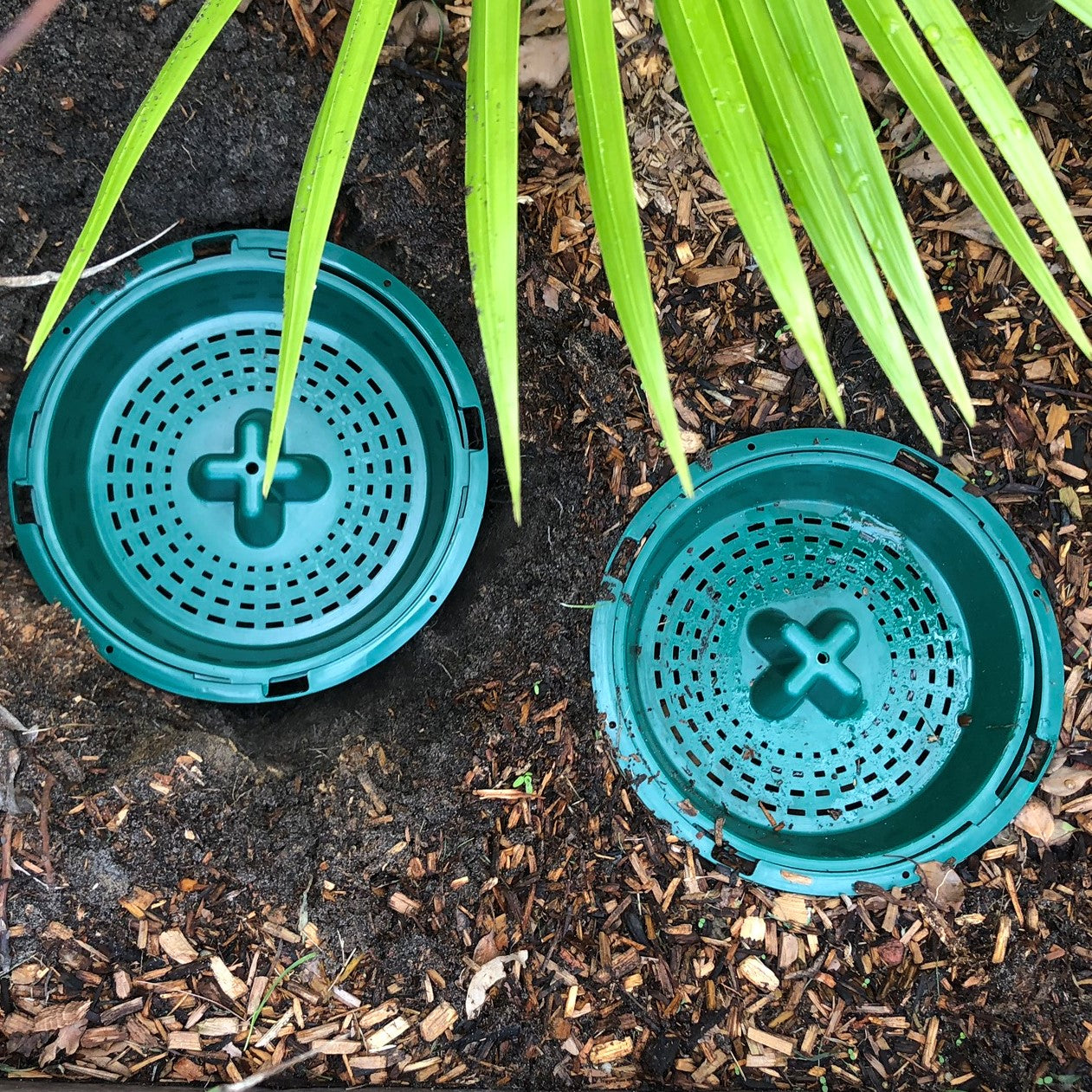 Compost Bucket | SET 3