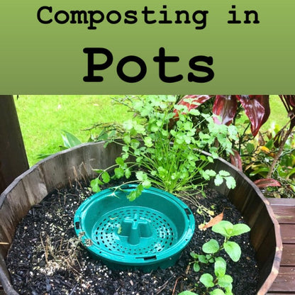 Compost Bucket